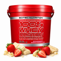 Scitec 100% Whey Professional 5000 gram – Strawberry White Chocolate